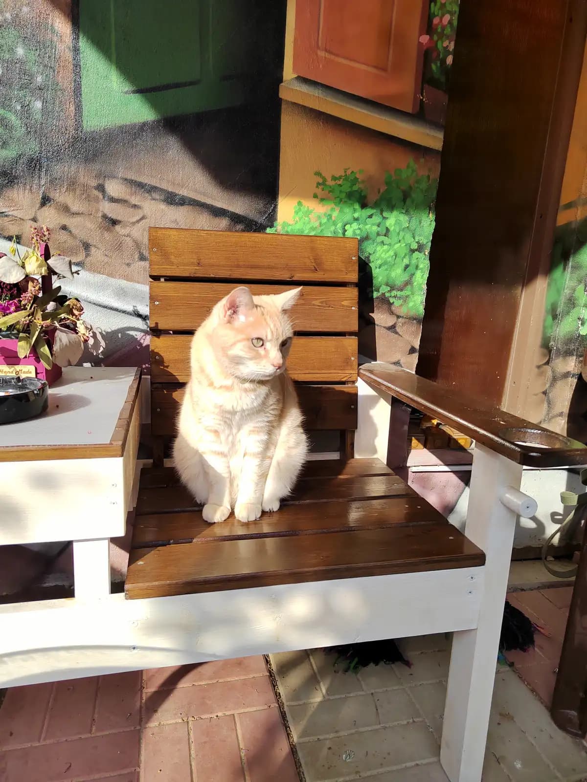 Моменты из жизни Абрикоса